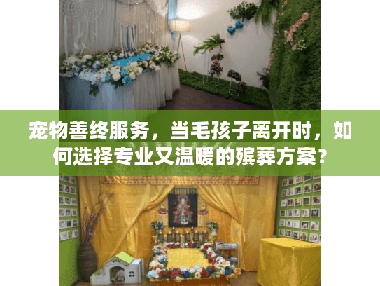 宠物善终服务，当毛孩子离开时，如何选择专业又温暖的殡葬方案？