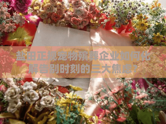 盐田正规宠物殡葬企业如何化解告别时刻的三大焦虑？