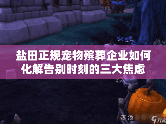 盐田正规宠物殡葬企业如何化解告别时刻的三大焦虑？