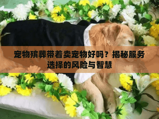 宠物殡葬带着卖宠物好吗？揭秘服务选择的风险与智慧