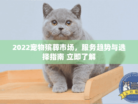 2022宠物殡葬市场，服务趋势与选择指南 立即了解