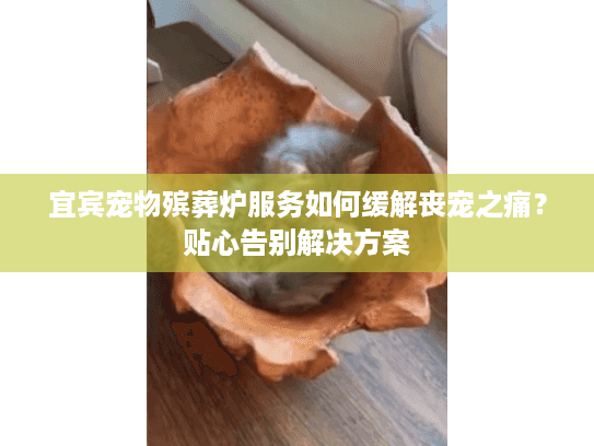 宜宾宠物殡葬炉服务如何缓解丧宠之痛？贴心告别解决方案