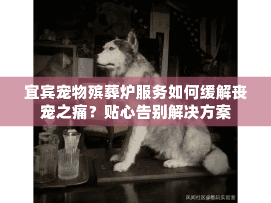 宜宾宠物殡葬炉服务如何缓解丧宠之痛？贴心告别解决方案