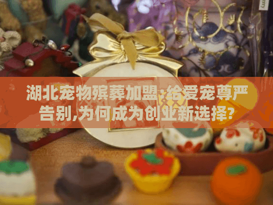 湖北宠物殡葬加盟:给爱宠尊严告别,为何成为创业新选择?