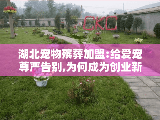 湖北宠物殡葬加盟:给爱宠尊严告别,为何成为创业新选择?