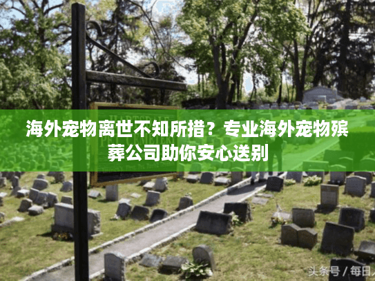 海外宠物离世不知所措？专业海外宠物殡葬公司助你安心送别