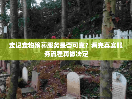 宠记宠物殡葬服务是否可靠？看完真实服务流程再做决定