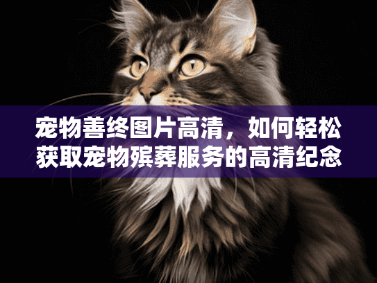 宠物善终图片高清，如何轻松获取宠物殡葬服务的高清纪念？