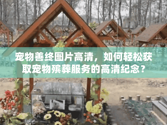 宠物善终图片高清，如何轻松获取宠物殡葬服务的高清纪念？