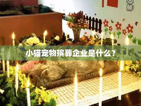 小猫宠物殡葬企业是什么？