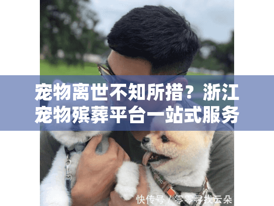 宠物离世不知所措？浙江宠物殡葬平台一站式服务为您解忧