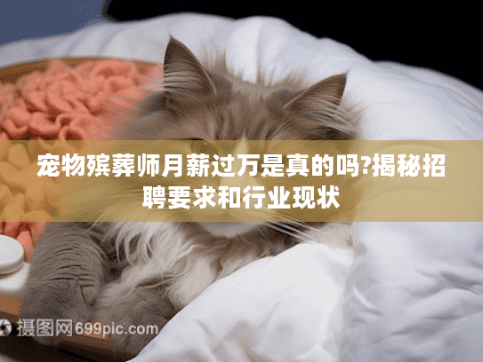 宠物殡葬师月薪过万是真的吗?揭秘招聘要求和行业现状
