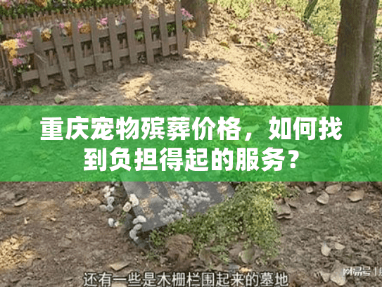 重庆宠物殡葬价格，如何找到负担得起的服务？