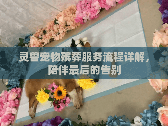 灵兽宠物殡葬服务流程详解，陪伴最后的告别