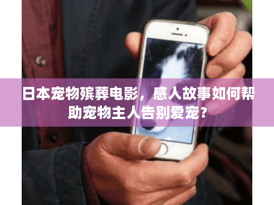 日本宠物殡葬电影，感人故事如何帮助宠物主人告别爱宠？