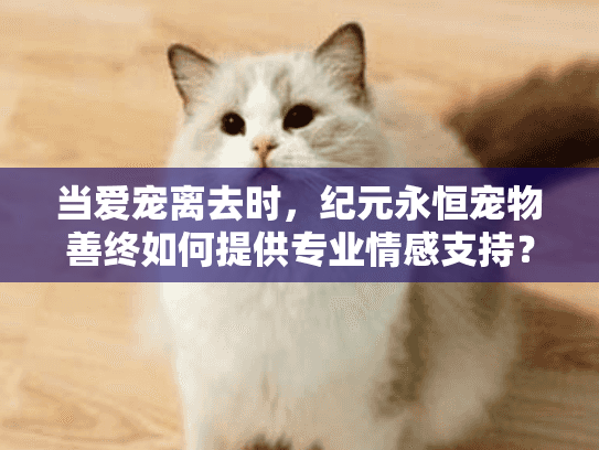 当爱宠离去时，纪元永恒宠物善终如何提供专业情感支持？