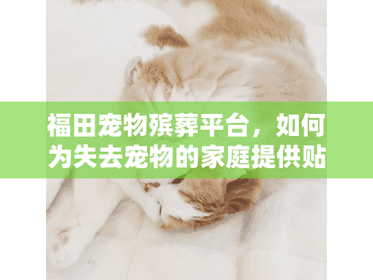 福田宠物殡葬平台，如何为失去宠物的家庭提供贴心服务？