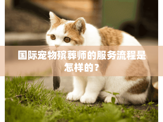 国际宠物殡葬师的服务流程是怎样的？