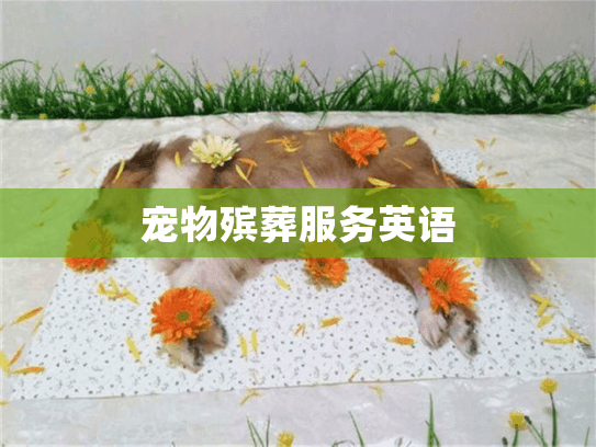 宠物殡葬服务英语