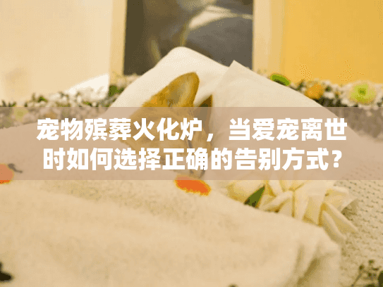 宠物殡葬火化炉，当爱宠离世时如何选择正确的告别方式？