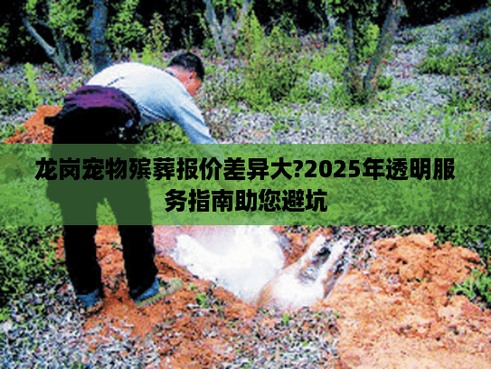 龙岗宠物殡葬报价差异大?2025年透明服务指南助您避坑