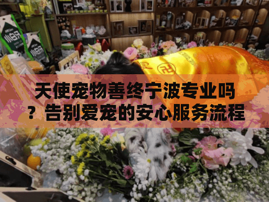 天使宠物善终宁波专业吗？告别爱宠的安心服务流程解析