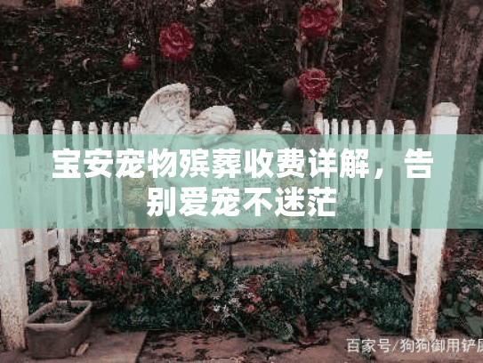 宝安宠物殡葬收费详解，告别爱宠不迷茫
