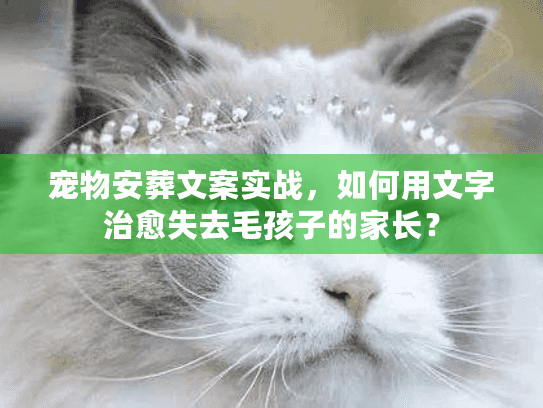 宠物安葬文案实战，如何用文字治愈失去毛孩子的家长？