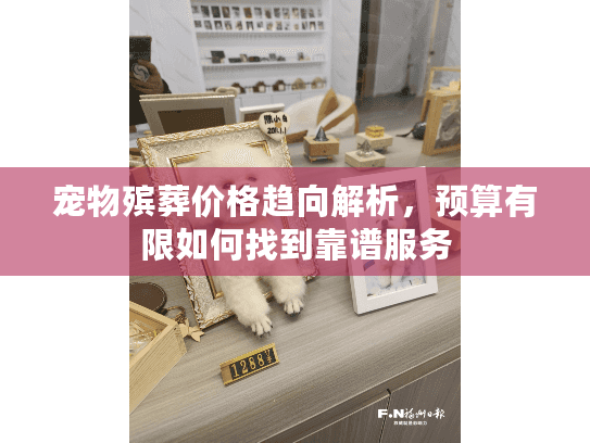 宠物殡葬价格趋向解析，预算有限如何找到靠谱服务