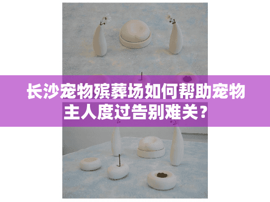 长沙宠物殡葬场如何帮助宠物主人度过告别难关？