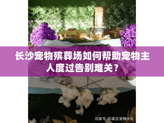 长沙宠物殡葬场如何帮助宠物主人度过告别难关？