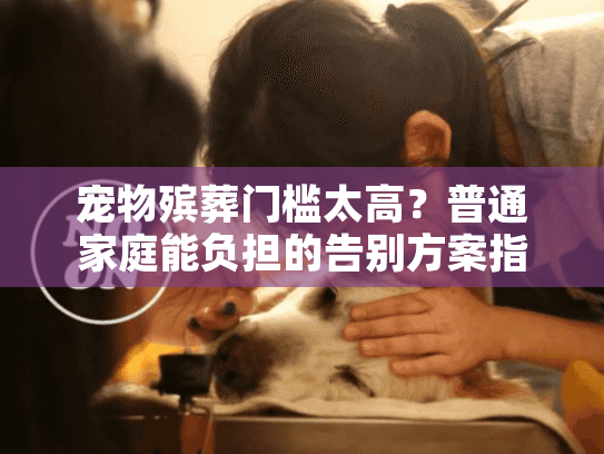 宠物殡葬门槛太高？普通家庭能负担的告别方案指南