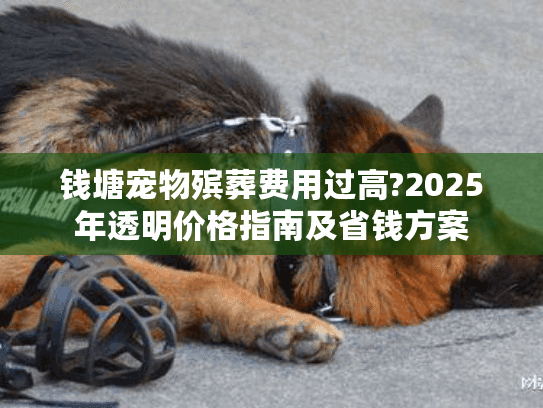 钱塘宠物殡葬费用过高?2025年透明价格指南及省钱方案