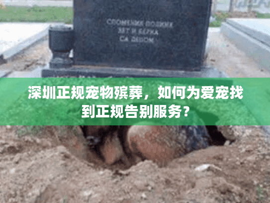 深圳正规宠物殡葬，如何为爱宠找到正规告别服务？