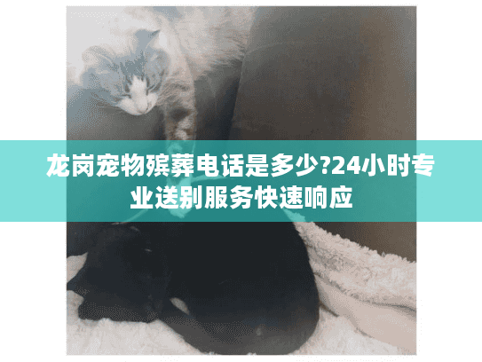 龙岗宠物殡葬电话是多少?24小时专业送别服务快速响应