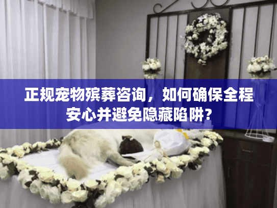 正规宠物殡葬咨询，如何确保全程安心并避免隐藏陷阱？