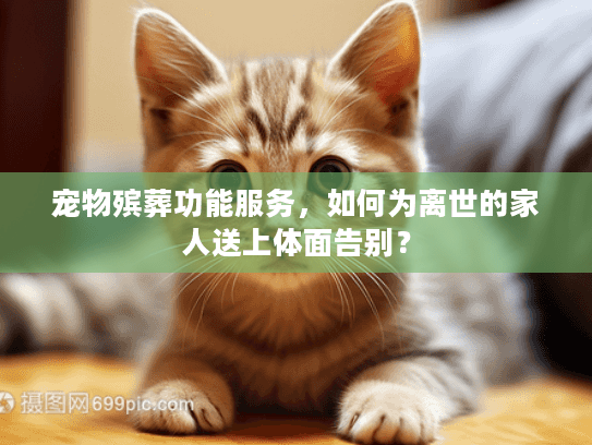 宠物殡葬功能服务，如何为离世的家人送上体面告别？