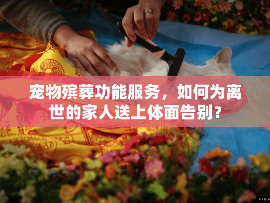 宠物殡葬功能服务，如何为离世的家人送上体面告别？