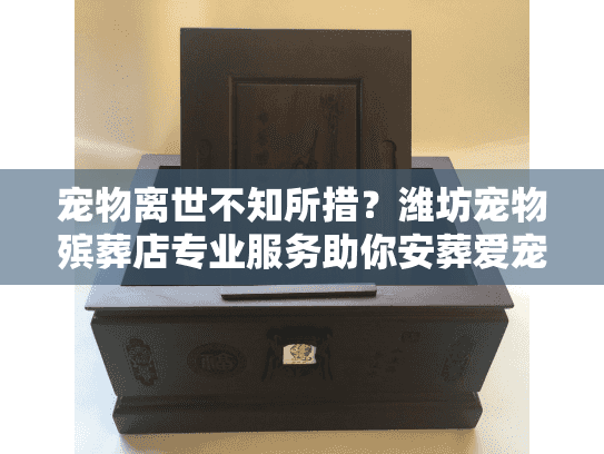宠物离世不知所措？潍坊宠物殡葬店专业服务助你安葬爱宠