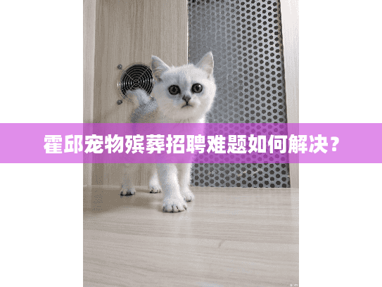 霍邱宠物殡葬招聘难题如何解决？