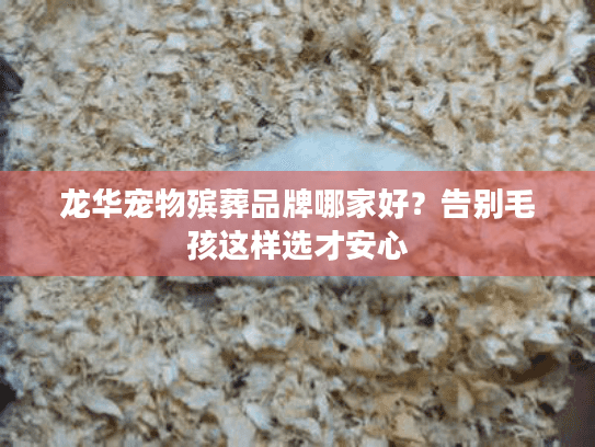 龙华宠物殡葬品牌哪家好？告别毛孩这样选才安心