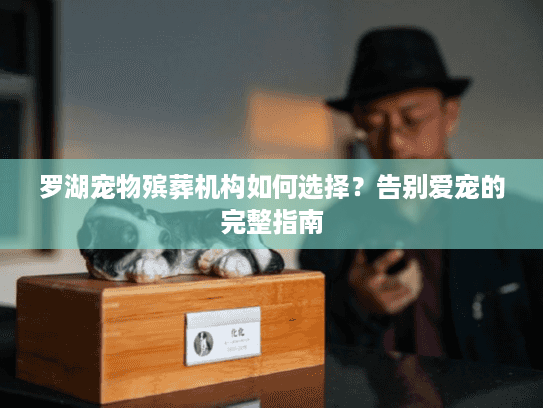 罗湖宠物殡葬机构如何选择？告别爱宠的完整指南