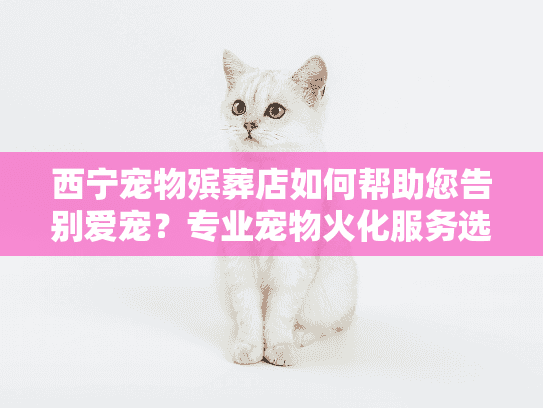 西宁宠物殡葬店如何帮助您告别爱宠？专业宠物火化服务选择指南