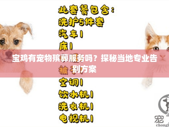 宝鸡有宠物殡葬服务吗？探秘当地专业告别方案