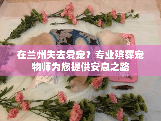 在兰州失去爱宠？专业殡葬宠物师为您提供安息之路