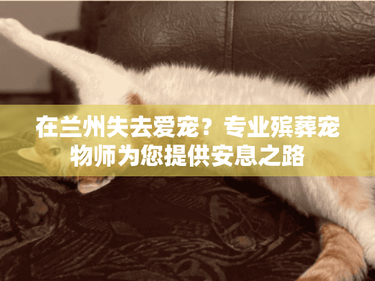 在兰州失去爱宠？专业殡葬宠物师为您提供安息之路