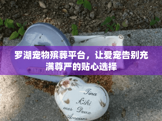 罗湖宠物殡葬平台，让爱宠告别充满尊严的贴心选择