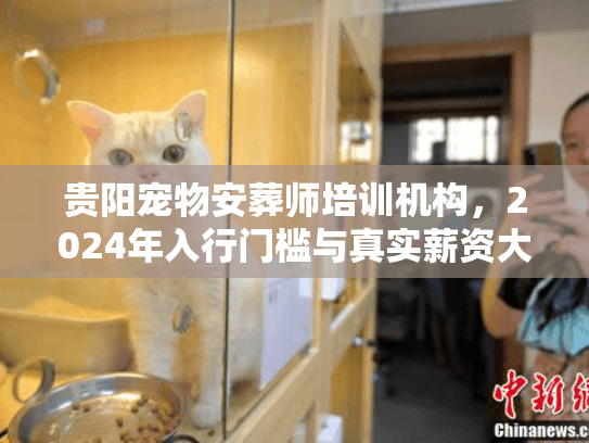 2024年入行门槛与真实薪资大揭秘图片