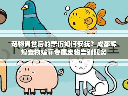 宠物离世后的悲伤如何安抚？成都辉煌宠物殡葬专属宠物告别服务