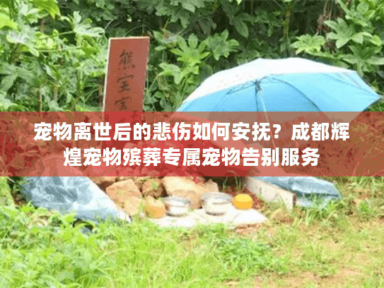 宠物离世后的悲伤如何安抚？成都辉煌宠物殡葬专属宠物告别服务